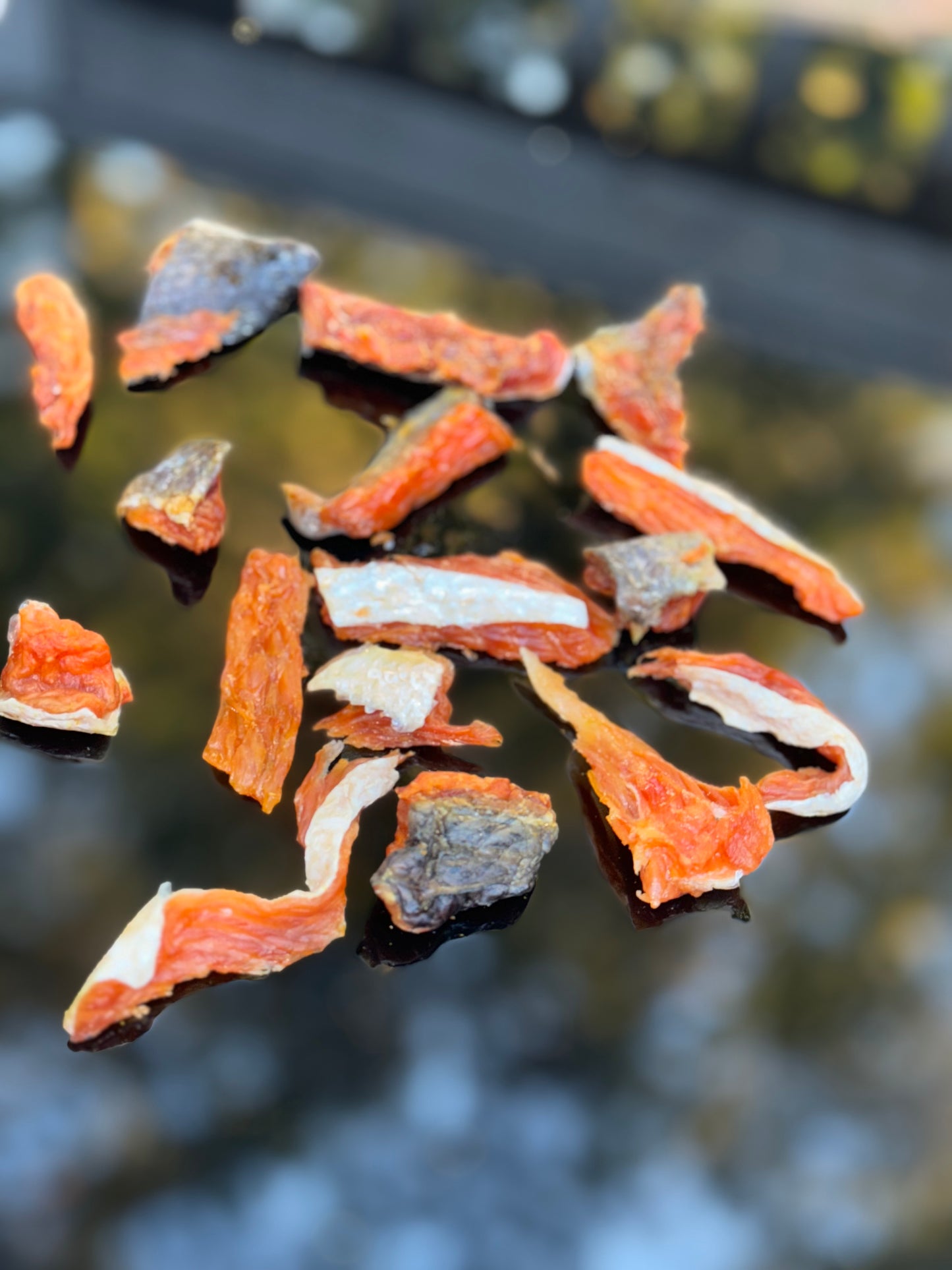 Salmon jerky