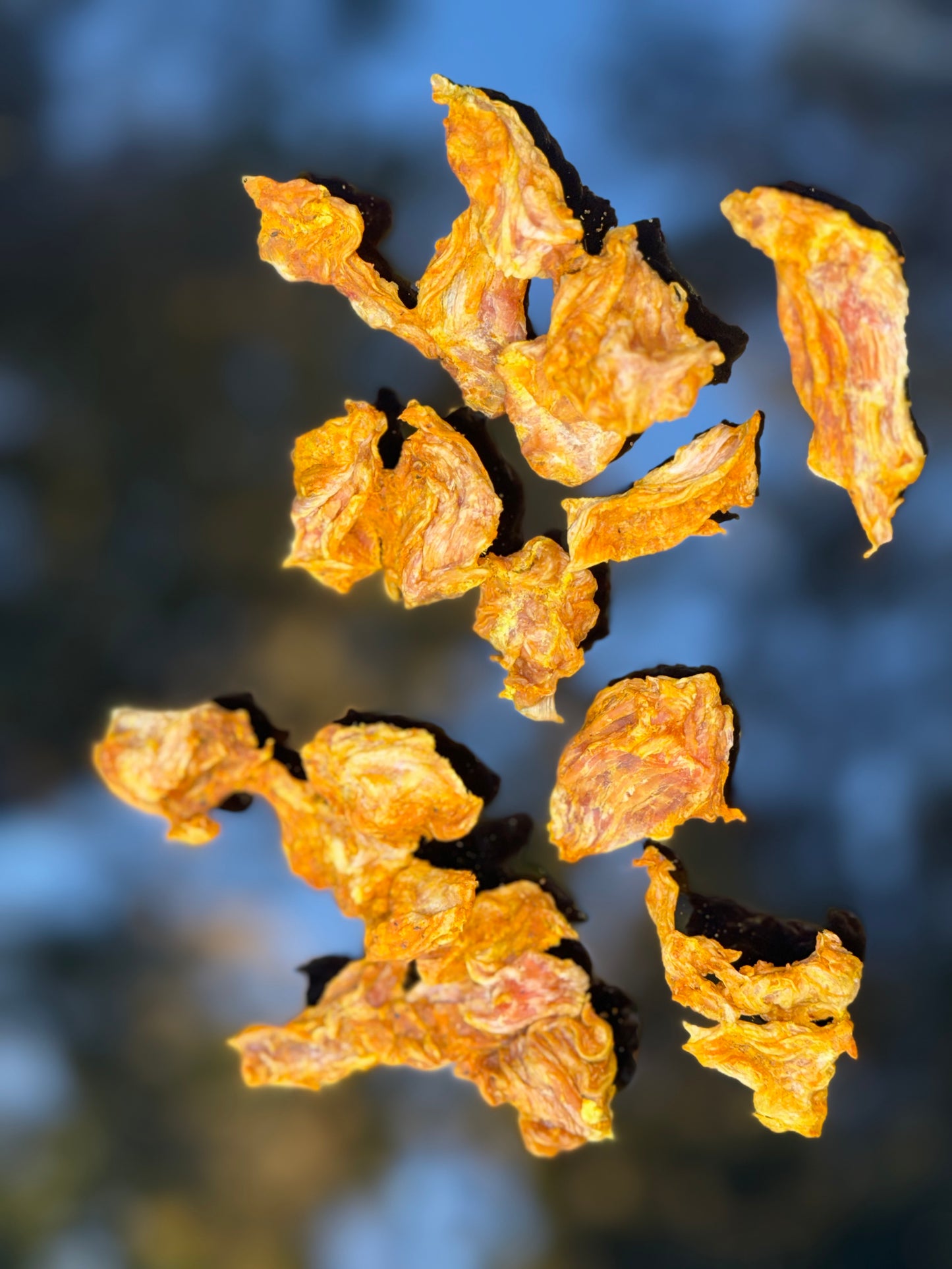 Dehydrated Chicken bites