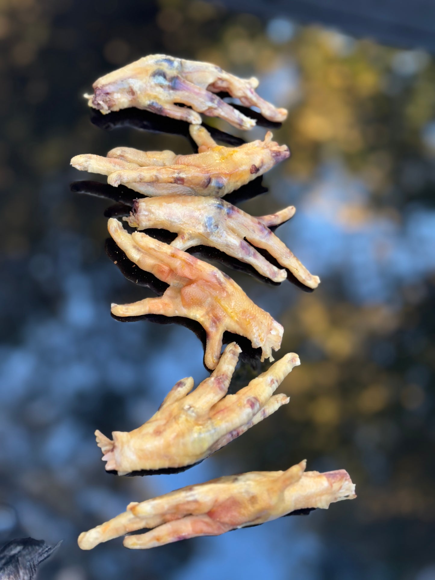 All-Natural Dehydrated Chicken Feet for Dogs